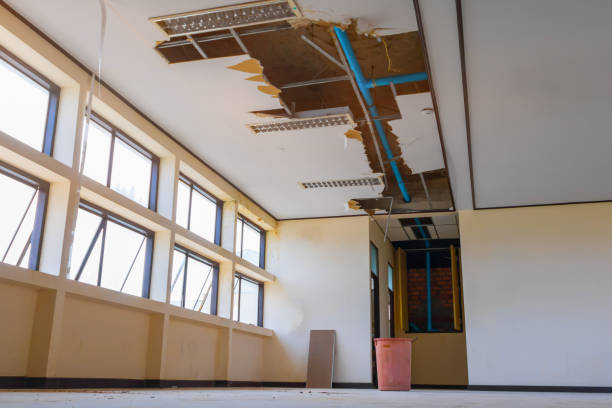 Best Mold removal after water damage  in Madison Park, NJ