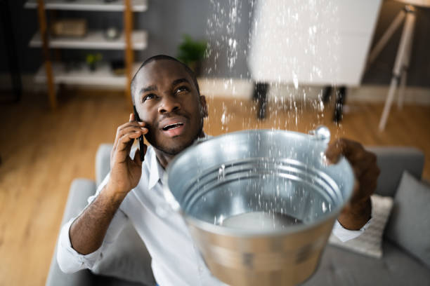 Best Carpet water damage restoration  in Madison Park, NJ