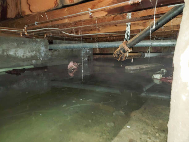 Carpet water damage restoration in Madison Park, NJ