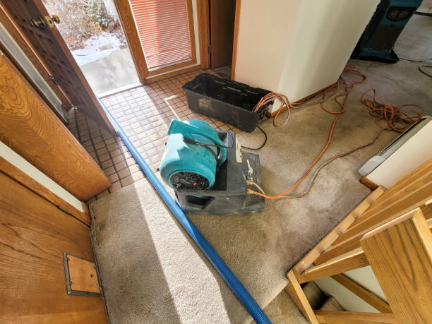 Madison Park, NJ Water damage restoration Company