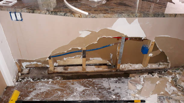 Best Water damage cleanup near me  in Madison Park, NJ