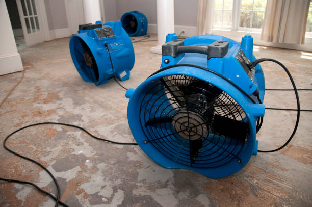 Professional Water damage restoration in Madison Park, NJ