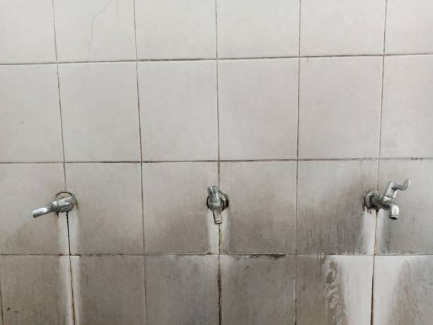 Best Emergency water damage restoration  in Madison Park, NJ