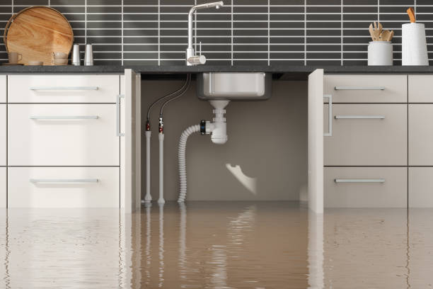  Madison Park, NJ Water damage restoration Pros