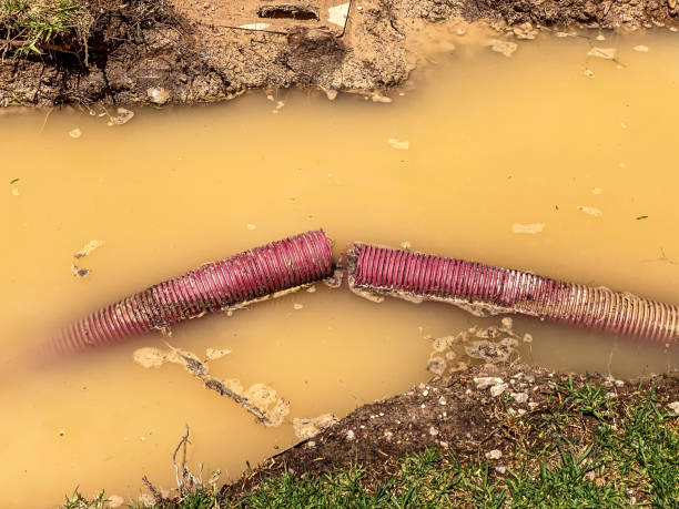 Best Emergency water extraction  in Madison Park, NJ