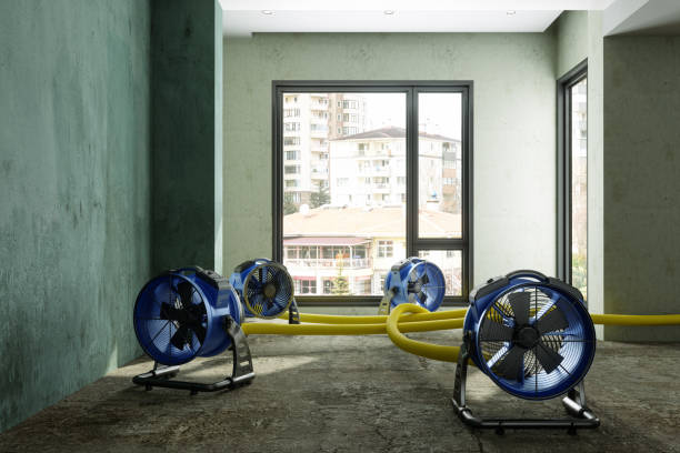 Best Water damage restoration near me  in Madison Park, NJ
